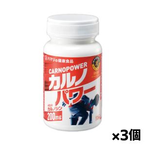 ハマリの健康食品 カルノパワー 120粒 x3個(カルノシン ロイシン アルギニン クエン酸 疲労回復)｜kenko-ex2