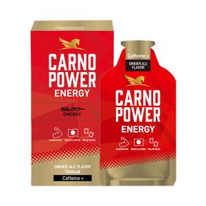 【ゆうパケット配送対象】カルノパワーエナジー ジンジャーエール風味 ENERGY GINGER ALE Flavor(Caffeine+) x1個(リキッドタイプ エネルギー補給ジェル カル・