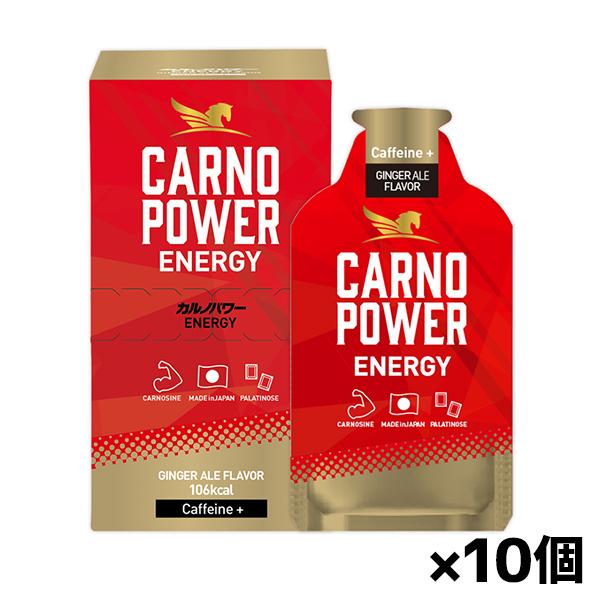 【ゆうパケット配送対象】カルノパワーエナジー ジンジャーエール風味 ENERGY GINGER AL...