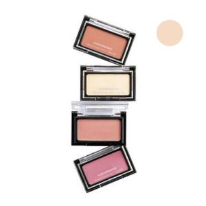 リアルフィニッシュ カバーマーク フェイスカラー H01 ハイライト