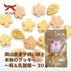 【ゆうパケット配送対象】OCファーム 岡山県産平飼い卵と米粉のクッキー 〜糀＆乳酸菌〜 30g(犬向け おやつクッキー・ビスケット)(ポスト投函 追跡ありメール・｜kenko-ex2