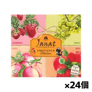 Janat ジャンナッツ フルーツテイーアソート 2g×40p(80g) x24個(ティーバック 紅茶 フレーバーティ)｜kenko-ex