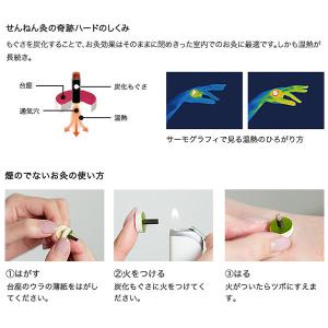 せんねん灸の奇跡 ハード 220点入の詳細画像1