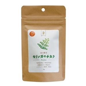 モリンガのチカラ パウダー 30g スーパーフード モリンガ 食物繊維 鉄分 栄養 (ゆうパケット配送対象)｜kenko-ex