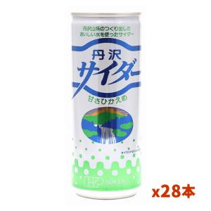 創健社 丹沢サイダー 250ml (30本セット)｜kenko-ex