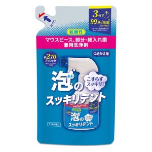 ライオンケミカル 泡のスッキリデント スプレー ミントの香り つめかえ用 270ml(詰替 マウスピース 入れ歯洗浄剤 泡スプレー 除菌)｜ケンコーエクスプレス