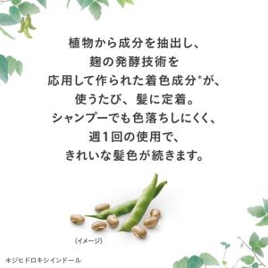 [花王]ブローネ リライズ ナチュリラ 色長持...の詳細画像3