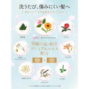 クラシエ いち髪 ダメージリペア&カラ...の詳細画像2