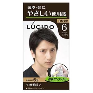 ルシード ワンプッシュケアカラー ダークブラウン LUCIDO (医薬部外品)｜kenko-ex