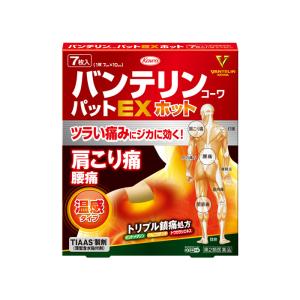 【ゆうパケット配送対象】【第2類医薬品】興和 バンテリンパットEXホット 7枚入り【SM】(筋肉痛・関節痛)(ポスト投函 追跡ありメール便)｜kenko-ex