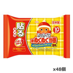 興和 ホッカイロ 新ぬくぬく当番 貼るタイプ ミニ 10個入 x48個