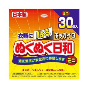 興和 ホッカイロ ぬくぬく日和 貼るミニ 30個入り｜kenko-ex