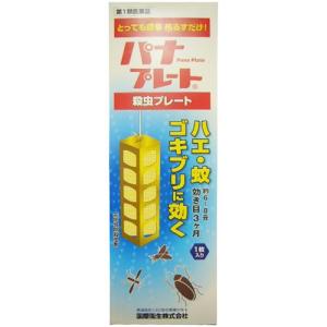 パナプレートＬ 120g 1枚入(＊薬剤師からの問診メールに返信が必要となります＊) (第1類医薬品)｜kenko-ex