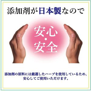 【ゆうパケット配送対象】ノーニコチン茶葉スティ...の詳細画像1