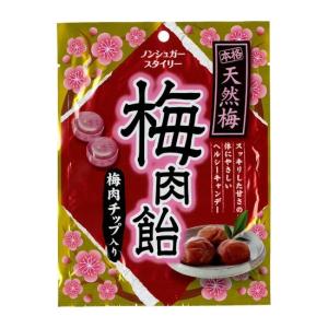 【ゆうパケット配送対象】奥田薬品 ノンシュガースタイリー梅肉飴 1袋(ポスト投函 追跡ありメール便)