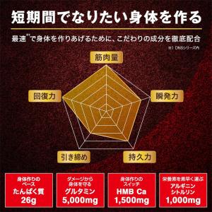 【ゆうパケット配送対象】DNS ディーエヌエス...の詳細画像2