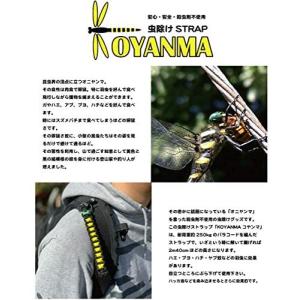 【ゆうパケット配送対象】NEW CURRENT...の詳細画像3