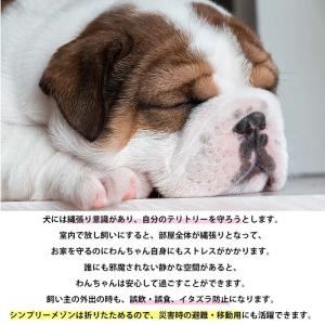 SIMPLY シンプリー メゾン ステンレス ...の詳細画像2