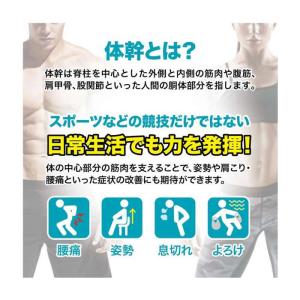 【送料無料】 体幹加圧エクサインナー(レディー...の詳細画像1