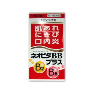 ＊使用期限2024/04/30＊ネオビタBBプラス クニヒロ 250錠入