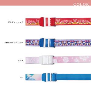 ワンタッチ 駆血帯 軽量 止血帯 ベルト式 T...の詳細画像5