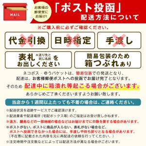 カラーペアン カラー止血鉗子 直型無鈎 看護師...の詳細画像3
