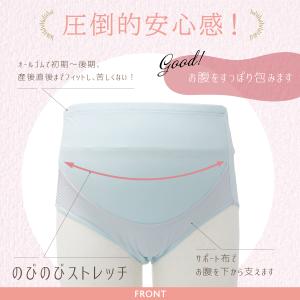 サポートショーツ ベア天竺マタニティショーツ ...の詳細画像1