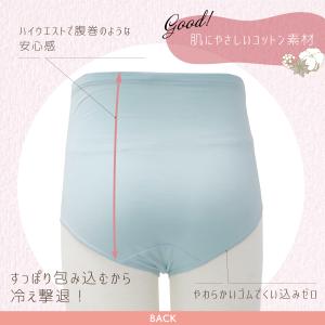 サポートショーツ ベア天竺マタニティショーツ ...の詳細画像2