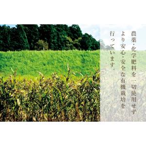 ハトムギ ハトムギ茶 活性はとむぎ美人茶 有機...の詳細画像4