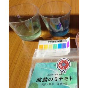 山田新一郎先生開発「波動のミナモト」美容・健康...の詳細画像2