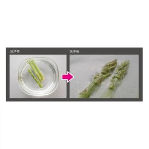 ホタテのおくりもの 550g (計量スプーン付き)の詳細画像3