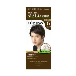 ルシード ワンプッシュケアカラー ライトブラウン ( 100g )/ ルシード