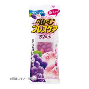 小林製薬 噛むブレスケアボトル アソート 80粒 : XPRICE Yahoo!店