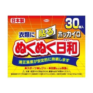 【あわせ買い2999円以上で送料無料】興和 ホッカイロ ぬくぬく日和 貼る レギュラー 30個｜kenkoo-life