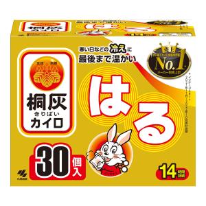 桐灰 小林製薬 桐灰カイロ 貼らない マグマ 10個入【ドラッグストア