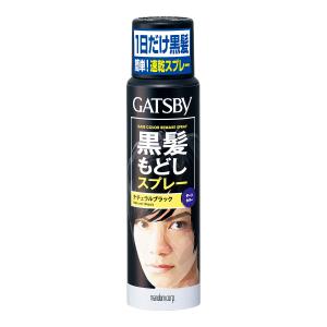サクセスブラック ふんわり仕上がるカラートリートメント 約7回分 白髪