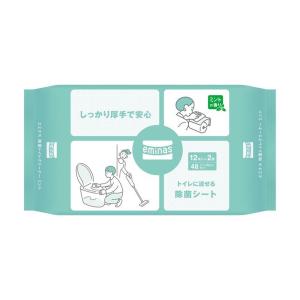 【送料無料・まとめ買い×24個セット】丸住製紙 エミナス 除菌 トイレクリーナー ミント 24枚入｜kenkoo-life