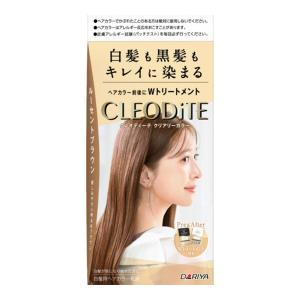 (送料無料・まとめ買い×30個セット)ダリヤ ク...の商品画像