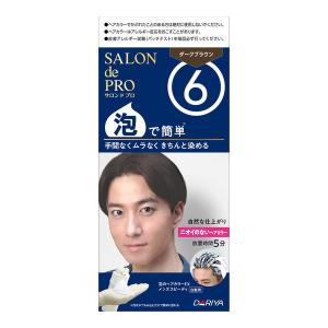 (送料無料・まとめ買い×30個セット)ダリヤ サ...の商品画像