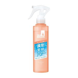 (送料無料・まとめ買い×48個セット)ファイントゥデイ シーブリーズ デオ&ウォーター E せっけん トリガー 145mL