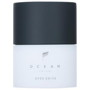 アウスレーゼ 【生産終了品・在庫限り】残り2点 資生堂 ブリランチンN