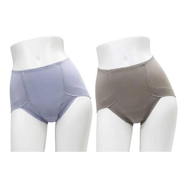 【あわせ買い2999円以上で送料無料】辻一 スタイルセレブリティ 吸水消臭ショーツ 2色組 婦人用 ...