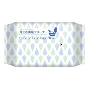 【あわせ買い2999円以上で送料無料】IRL 伊藤忠 流せる便座クリーナー 詰替用 60枚入 DTC-002｜kenkoo-life