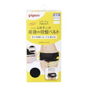 (あわせ買い2999円以上で送料無料)ピジョン ...の商品画像