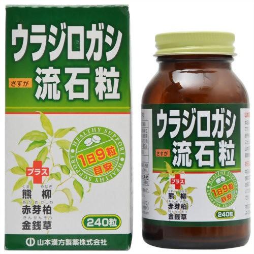 【あわせ買い2999円以上で送料無料】山本漢方製薬 ウラジロガシ 流石粒 240粒