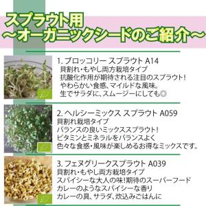 郵便 送料無料 選べる10種類 スプラウトシー...の詳細画像1