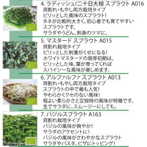 郵便 送料無料 選べる10種類 スプラウトシー...の詳細画像2