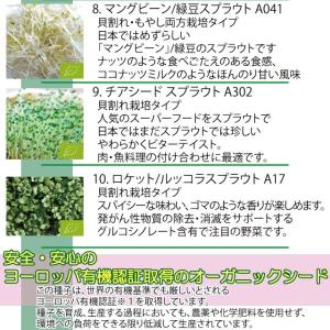 郵便 送料無料 選べる10種類 スプラウトシー...の詳細画像3