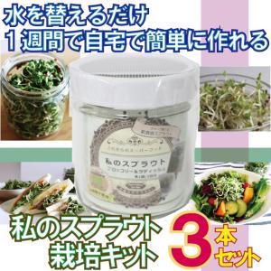 宅配便 送料無料 お得な3本セット 私のスプラウト 栽培キット B006　ブロッコリー・ラディッシュ種セット もやし栽培タイプ Ｓ栽培Ｋ