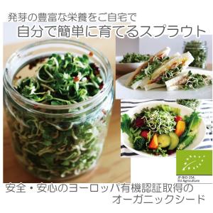 私のスプラウト 栽培キット B006 ブロッコ...の詳細画像1